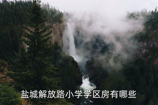 盐城解放路小学学区房有哪些