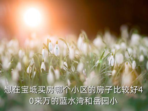 想在宝坻买房哪个小区的房子比较好40来万的蓝水湾和岳园小