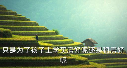 只是为了孩子上学买房好呢还是租房好呢