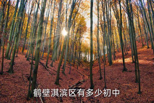 鹤壁淇滨区有多少初中