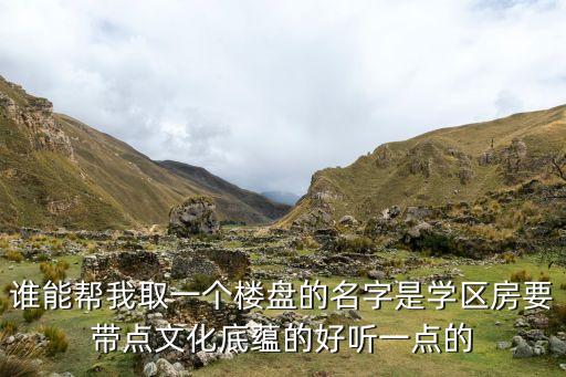 谁能帮我取一个楼盘的名字是学区房要带点文化底蕴的好听一点的