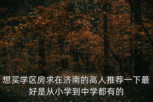 济南十一中的学区房有哪些，济南有哪些小区是学区房急谢谢