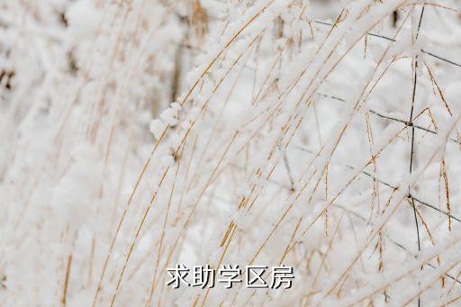 求助学区房