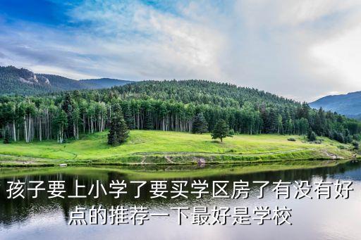 孩子要上小学了要买学区房了有没有好点的推荐一下最好是学校