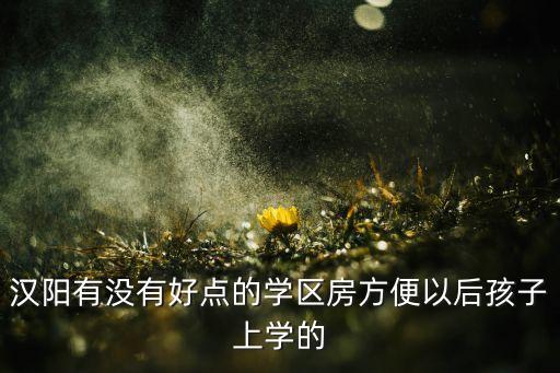 汉阳有没有好点的学区房方便以后孩子上学的