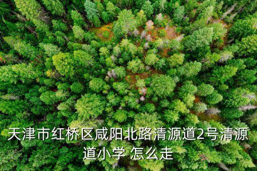 天津市红桥区咸阳北路清源道2号清源道小学 怎么走
