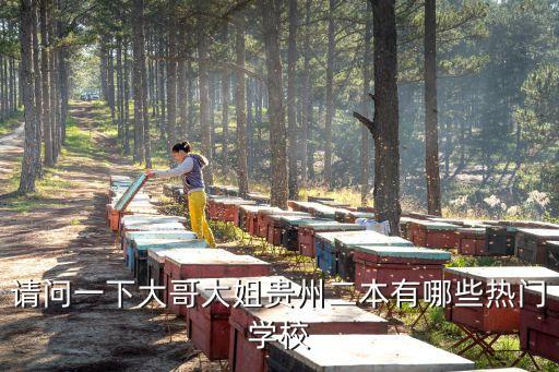 请问一下大哥大姐贵州二本有哪些热门学校