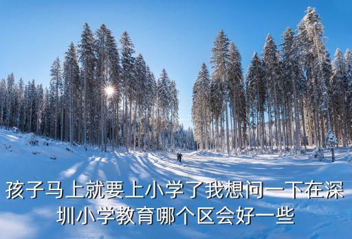 孩子马上就要上小学了我想问一下在深圳小学教育哪个区会好一些