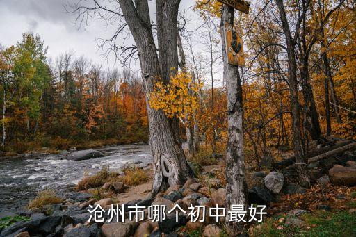 沧州市哪个初中最好