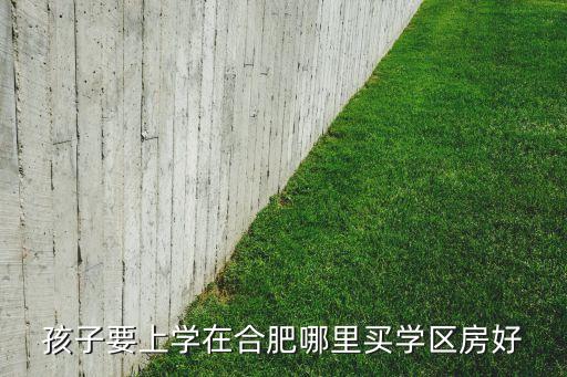 孩子要上学在合肥哪里买学区房好