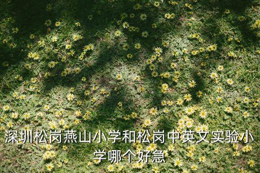 深圳松岗燕山小学和松岗中英文实验小学哪个好急
