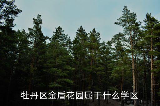 牡丹区金盾花园属于什么学区