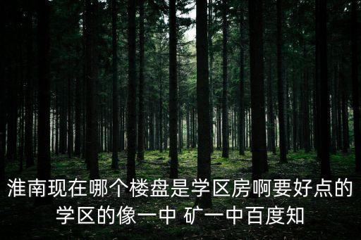 淮南现在哪个楼盘是学区房啊要好点的学区的像一中 矿一中百度知