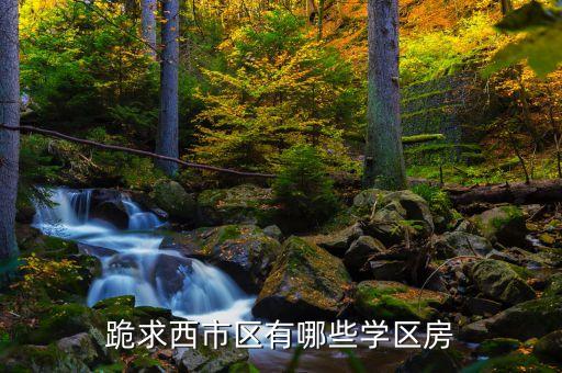 跪求西市区有哪些学区房