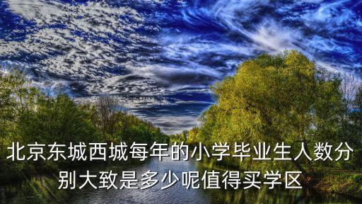 北京东城西城每年的小学毕业生人数分别大致是多少呢值得买学区
