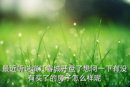最近听说滨江睿城开盘了想问一下有没有买了的房子怎么样呢