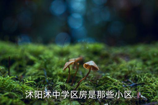 沭阳豪园是哪个中学学区房，在沭阳上学的都来