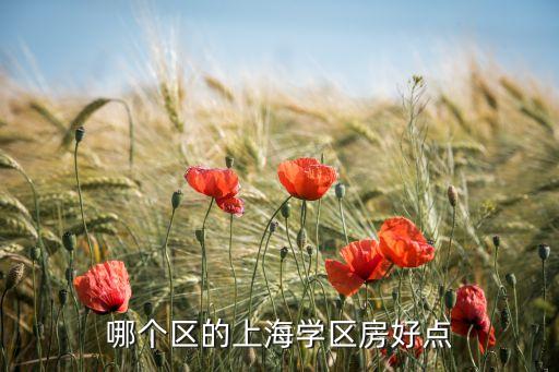 哪个区的上海学区房好点