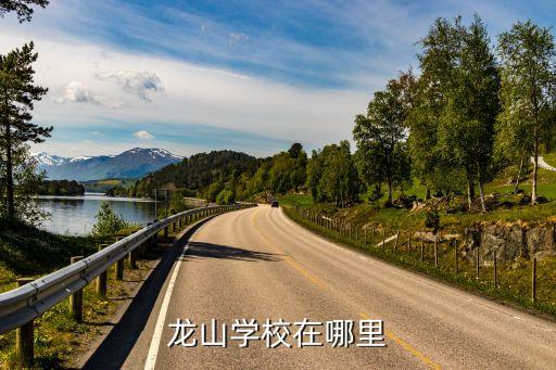 龙山学校在哪里