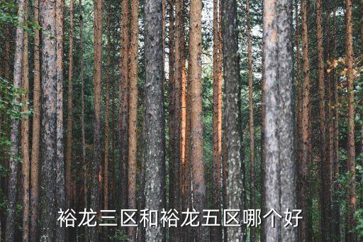 裕龙三区和裕龙五区哪个好