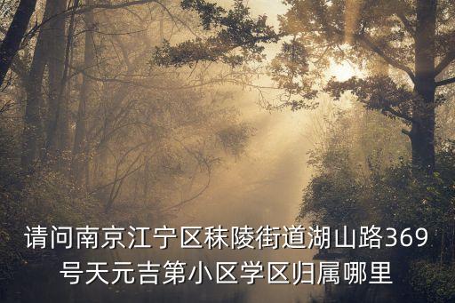 请问南京江宁区秣陵街道湖山路369号天元吉第小区学区归属哪里