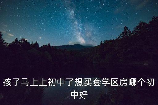孩子马上上初中了想买套学区房哪个初中好