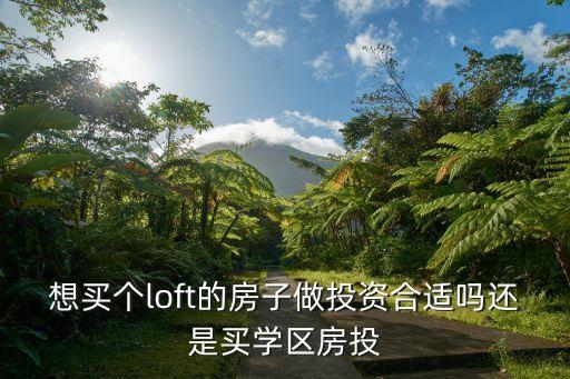 想买个loft的房子做投资合适吗还是买学区房投