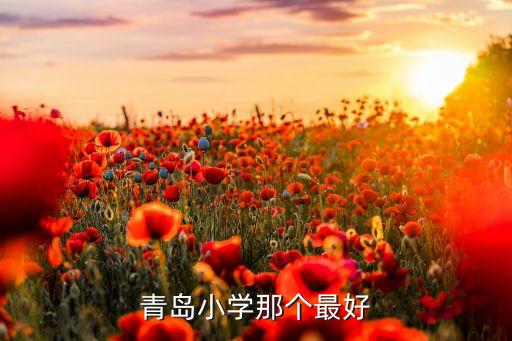 青岛小学那个最好