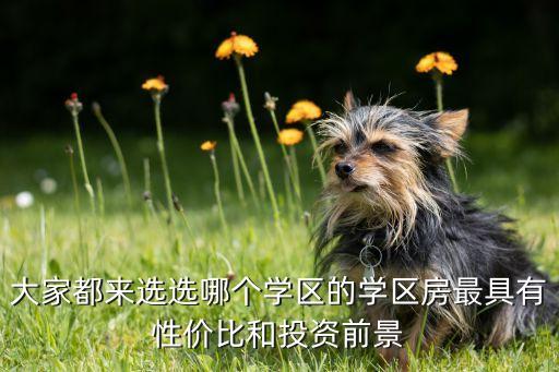 丰中学区房哪个小区好，大丰丰中名邸是丰中学区房吗