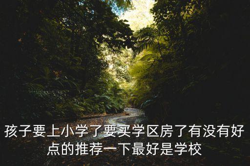 广州岑村哪个小学区房最好，孩子要上小学了要买学区房了有没有好点的推荐一下最好是学校