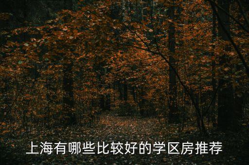 上海有哪些比较好的学区房推荐