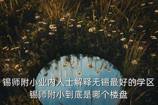无锡哪些学区房好，无锡的小学哪些是最好的要买在哪些小区里最好离学前街近的谢