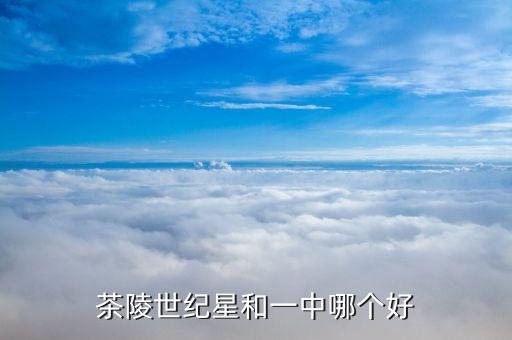 茶陵世纪星和一中哪个好