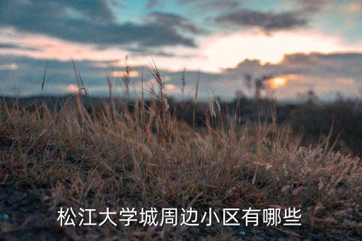 松江大学城周边小区有哪些