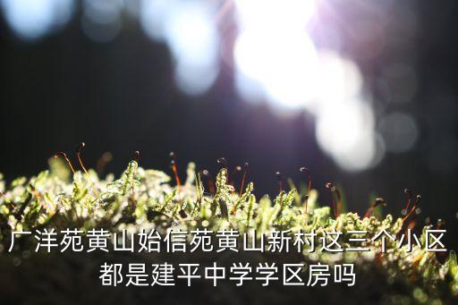广洋苑黄山始信苑黄山新村这三个小区都是建平中学学区房吗