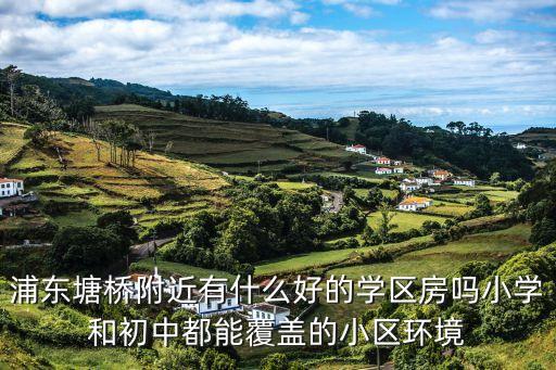 浦东塘桥附近有什么好的学区房吗小学和初中都能覆盖的小区环境