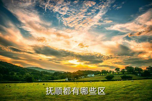 抚顺雷二学区房有哪些，抚顺都有哪些区