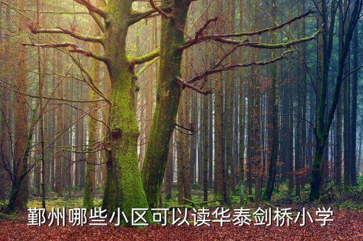 鄞州哪些小区可以读华泰剑桥小学