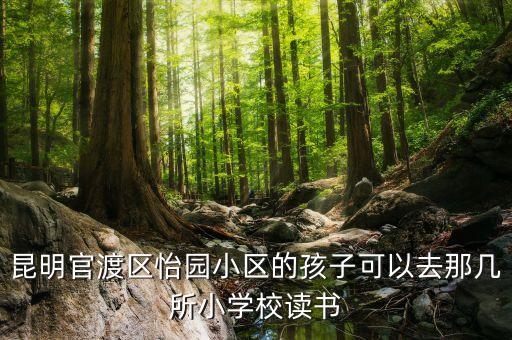 昆明官渡区怡园小区的孩子可以去那几所小学校读书