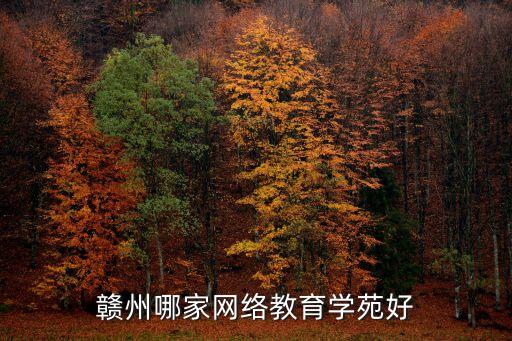 赣州哪个学区房最好，赣州哪家网络教育学苑好