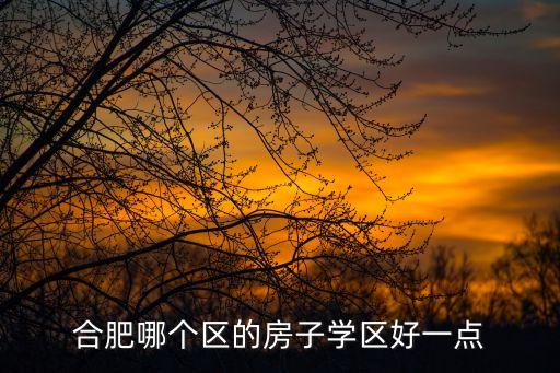 合肥哪个区的房子学区好一点