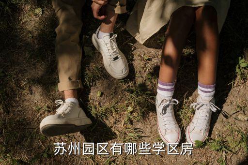 苏州园区有哪些学区房