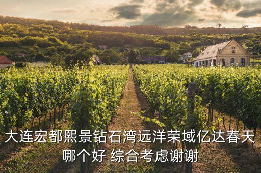 大连宏都熙景钻石湾远洋荣域亿达春天哪个好 综合考虑谢谢