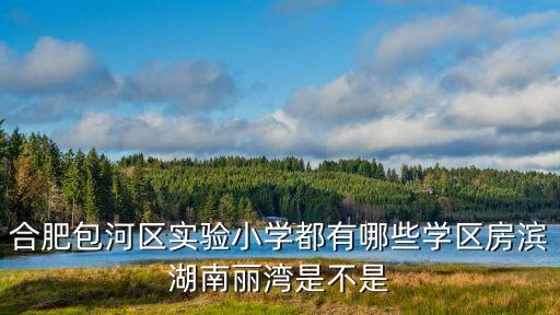 合肥包河区实验小学都有哪些学区房滨湖南丽湾是不是
