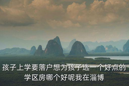 孩子上学要落户想为孩子选一个好点的学区房哪个好呢我在淄博