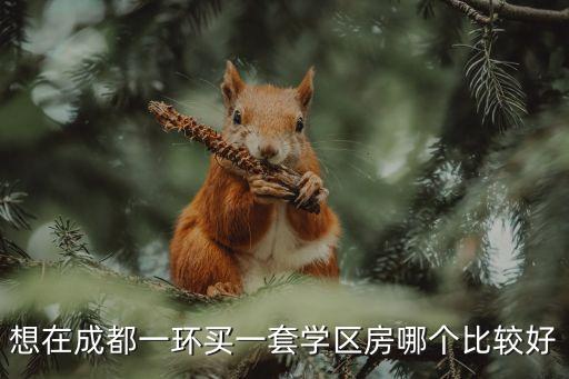 成都哪个学区房最值得买，成都好的学区房求推荐