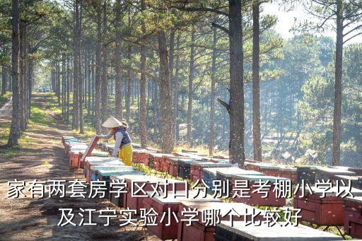家有两套房学区对口分别是考棚小学以及江宁实验小学哪个比较好