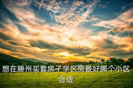 想在滕州买套房子学区房最好哪个小区合适