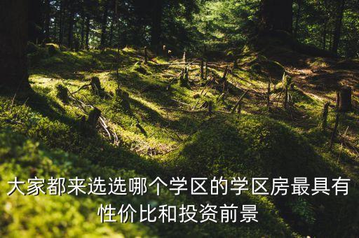 大家都来选选哪个学区的学区房最具有性价比和投资前景