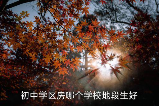 华理附中哪个学区房好，成都哪个学区房最好